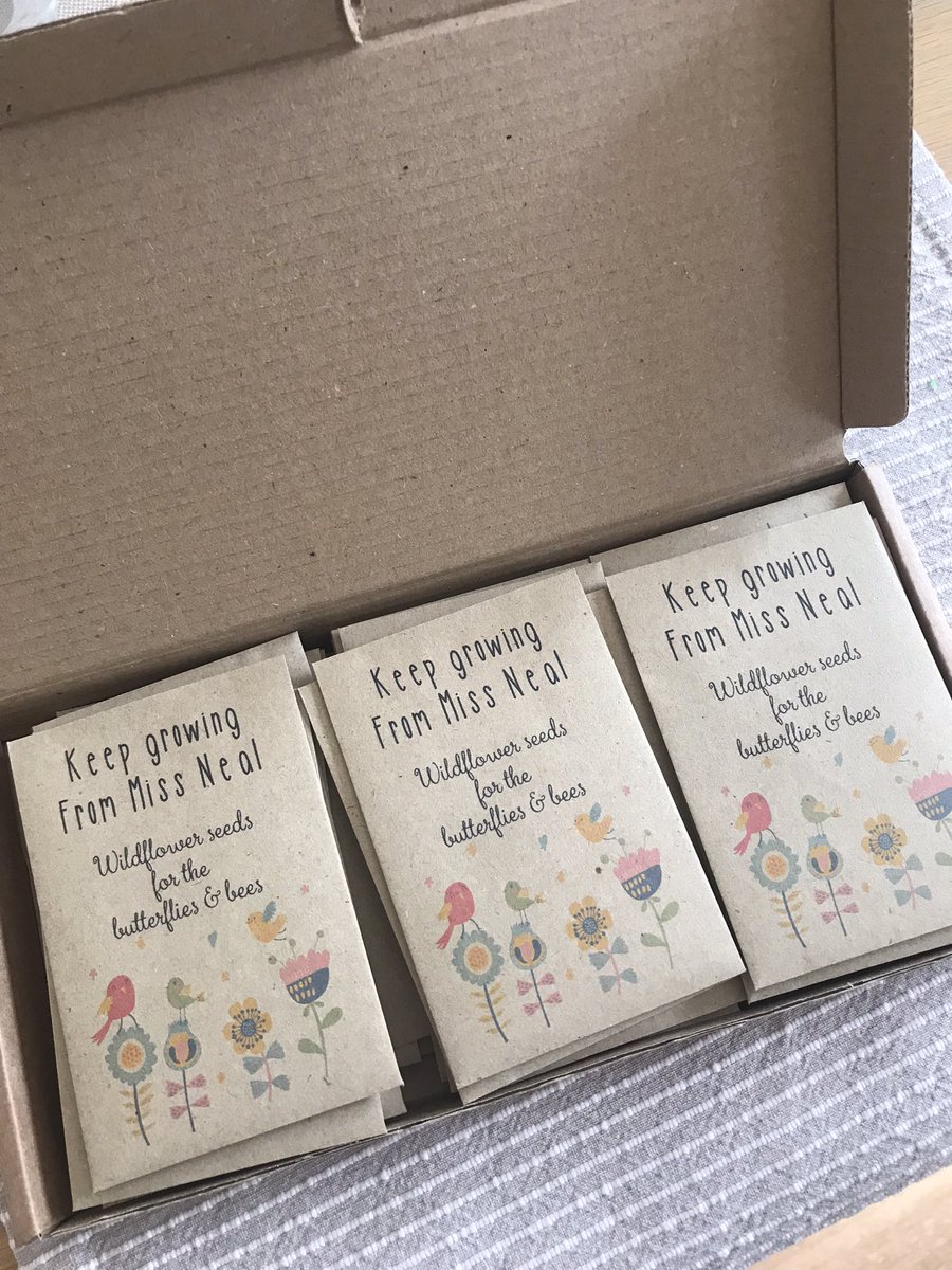 So glad I saw this idea on Facebook as a gift for each child in my class! So simple but so sweet! 🌿