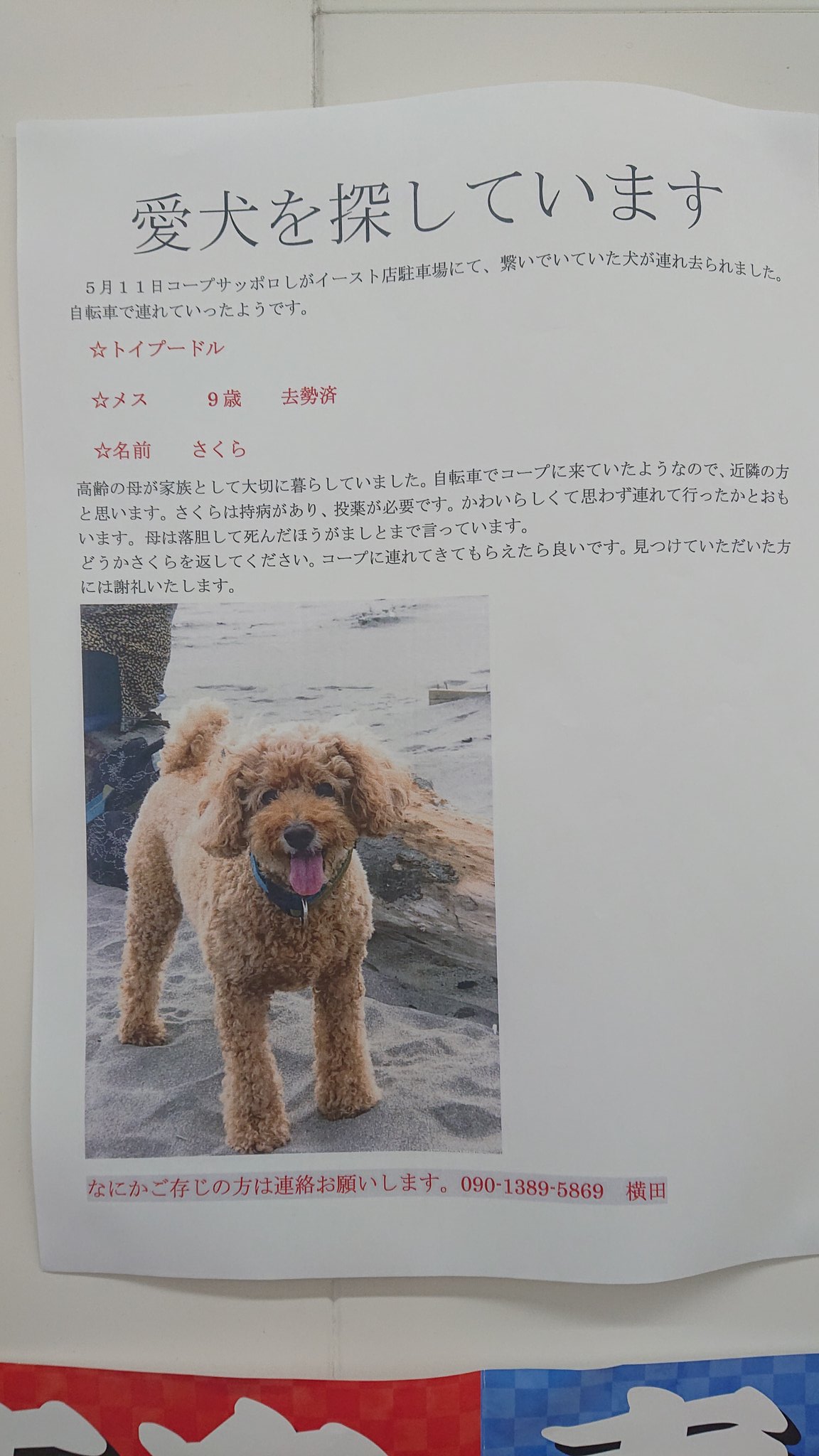 犬誘拐 Twitter Search Twitter