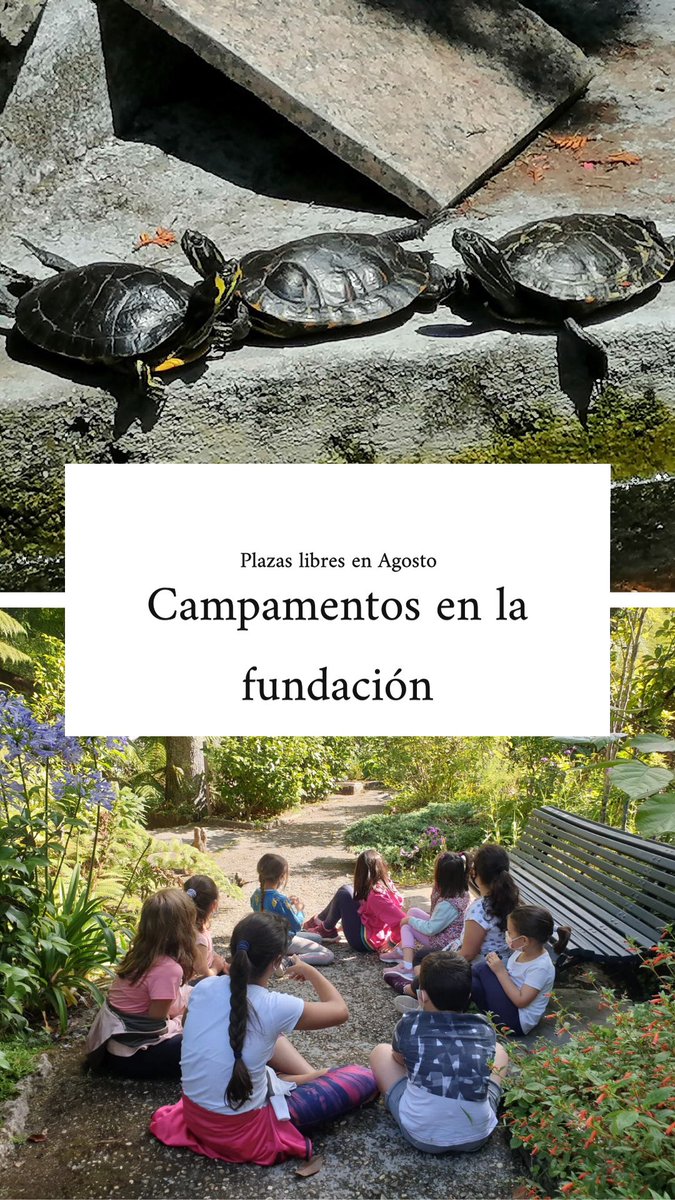 Un poco de info sobre nuestros campas. Para que los peques tengan un buen rato en la naturaleza y al aire libre. 🌿