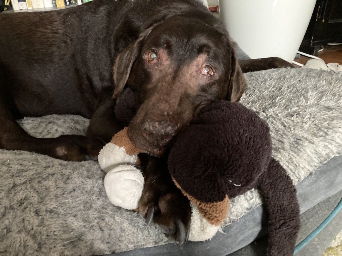 Lauren Wolfe tweet media