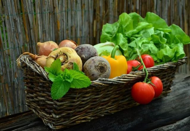 Top Tips for Growing Your Best Vegetable Garden Ever - granitehistory.org/backyard-veget… #vegetablegarden #gardening #growyourown