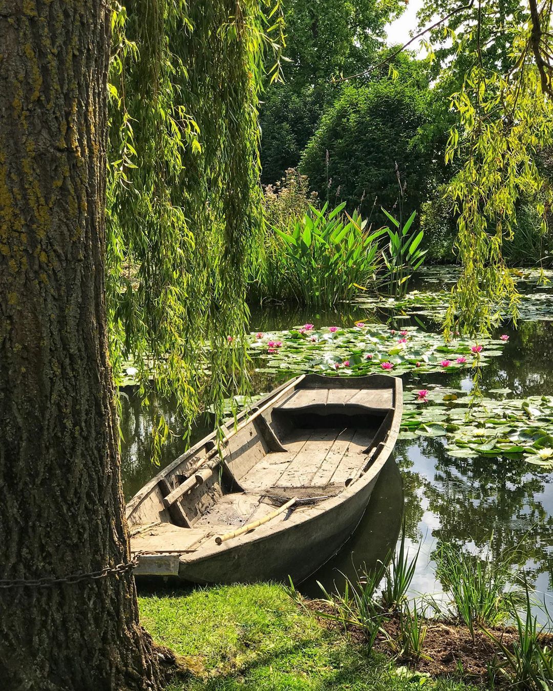 thumbalina on Twitter "RT DI0RSBABY claude monet's garden https //t