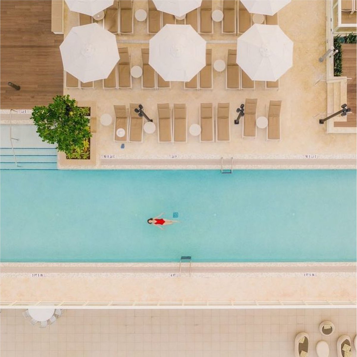 solay_app's tweet image. Paradise reserved with a tap, not your towel. 
.
.
.
.
Photo: @JWMarcoIsland #solayapp #poolside #sunshineawaits