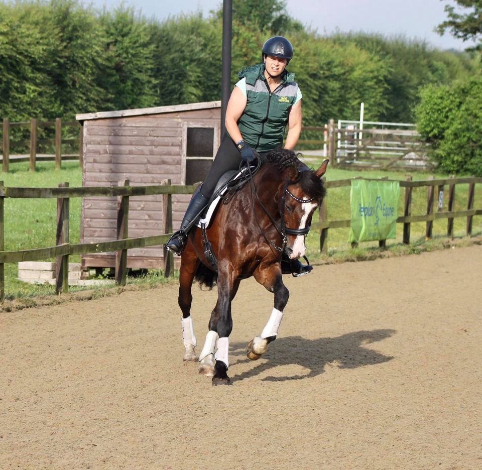 Ponio enjoyed his first competition of 2021 last week 😱 good placings and percentages as well as gaining summer qualifications at Advance Medium and Prix st George 😁👍#dressage #horses Facebook.com/mshdressage