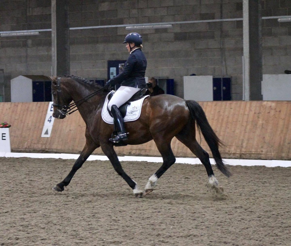 kluedo's tweet photo. Ponio enjoyed his first competition of 2021 last week 😱 good placings and percentages as well as gaining summer qualifications at Advance Medium and Prix st George 😁👍#dressage #horses https://t.co/wDrSg0eA4d https://t.co/3b5YtmuaEL