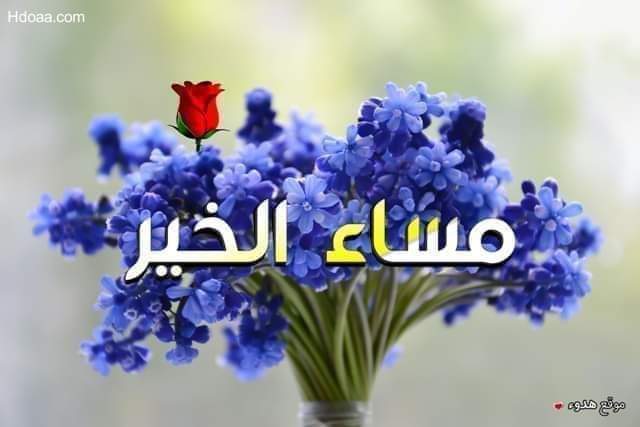 عبد الرزاق عبد الله محمد (@lm5njv) on Twitter photo 