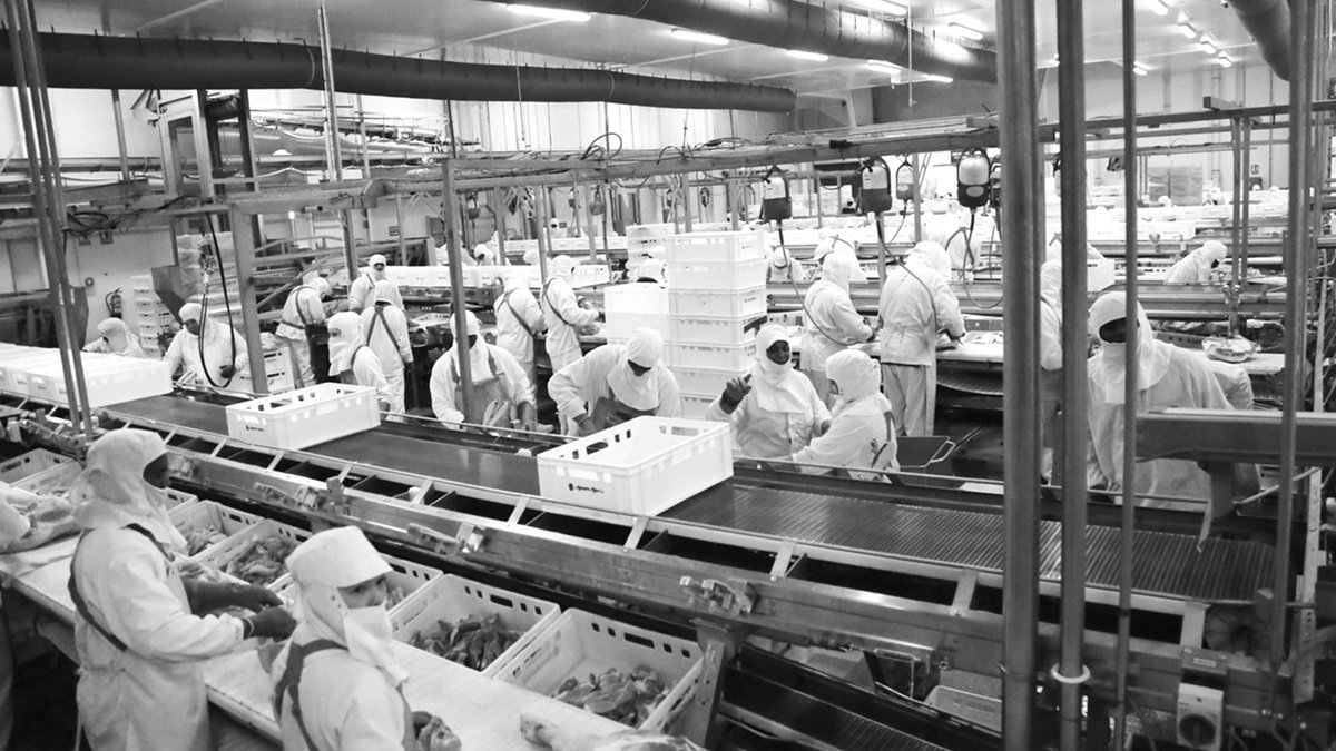 En Alejandro Miguel, controlamos todo el proceso de producción de todos nuestros productos, garantizando los estándares más altos de calidad gracias a la más novedosa tecnología de nuestros centros 👉
bit.ly/Instalaciones_…