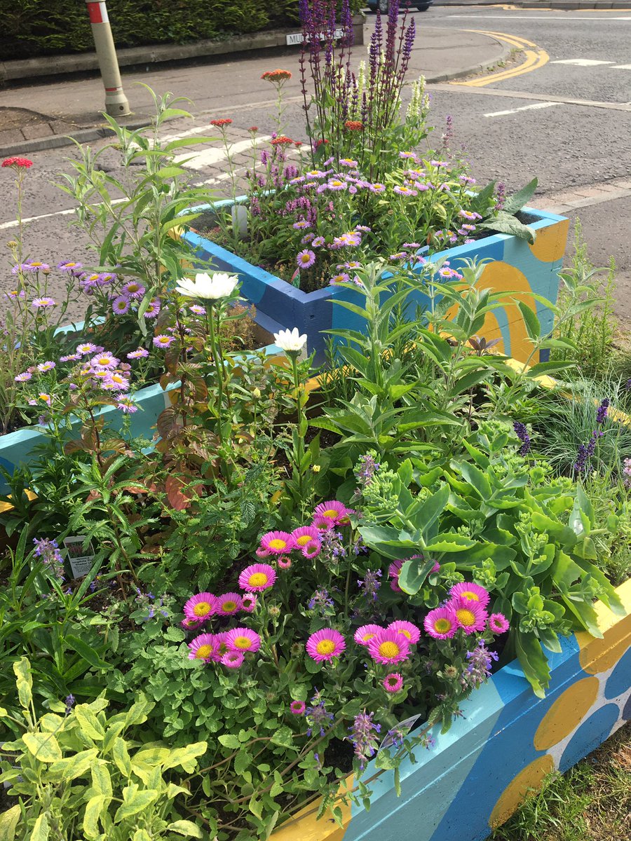 InchNorth's tweet image. These planters are joy to see, and the bees love them. Win, win. @PerthLS @sustperth @PerthandKinross @TayBiodiversity @PerthLifeScot @PKCTrust @PKPeoplePlace #urbandesign #nature #savethebees
