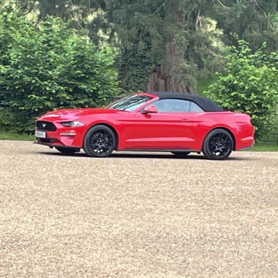 vixs1234's tweet photo. #NewProfilePic https://t.co/TlPaW8Nevs