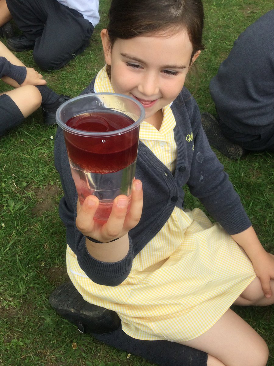 Whyte_sch_sci's tweet photo. Reception and Key Stage 1 Science day. We had lots of fun and had the chance to take part in a range of outside investigations. @Whyteleafe_sch https://t.co/S6ZKV39Kqo
