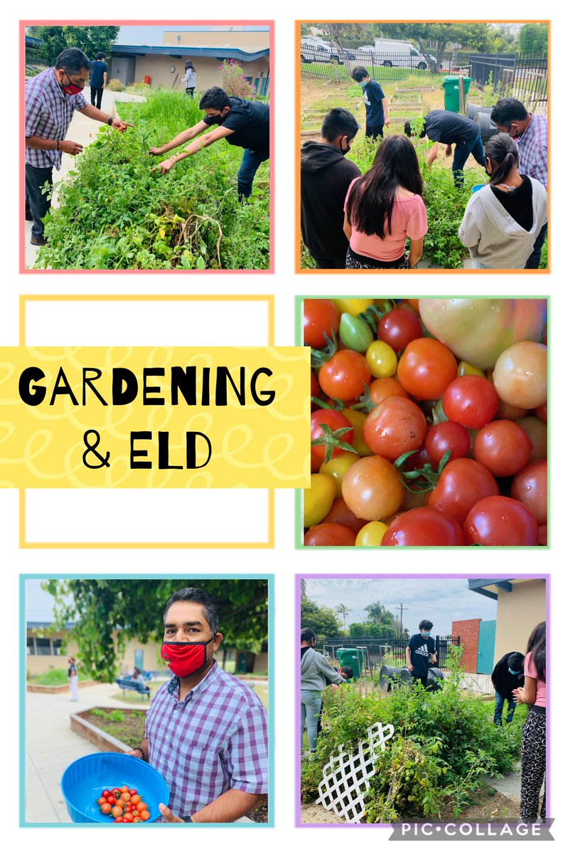 LincolnPanthers (@stem_oside) on Twitter photo 