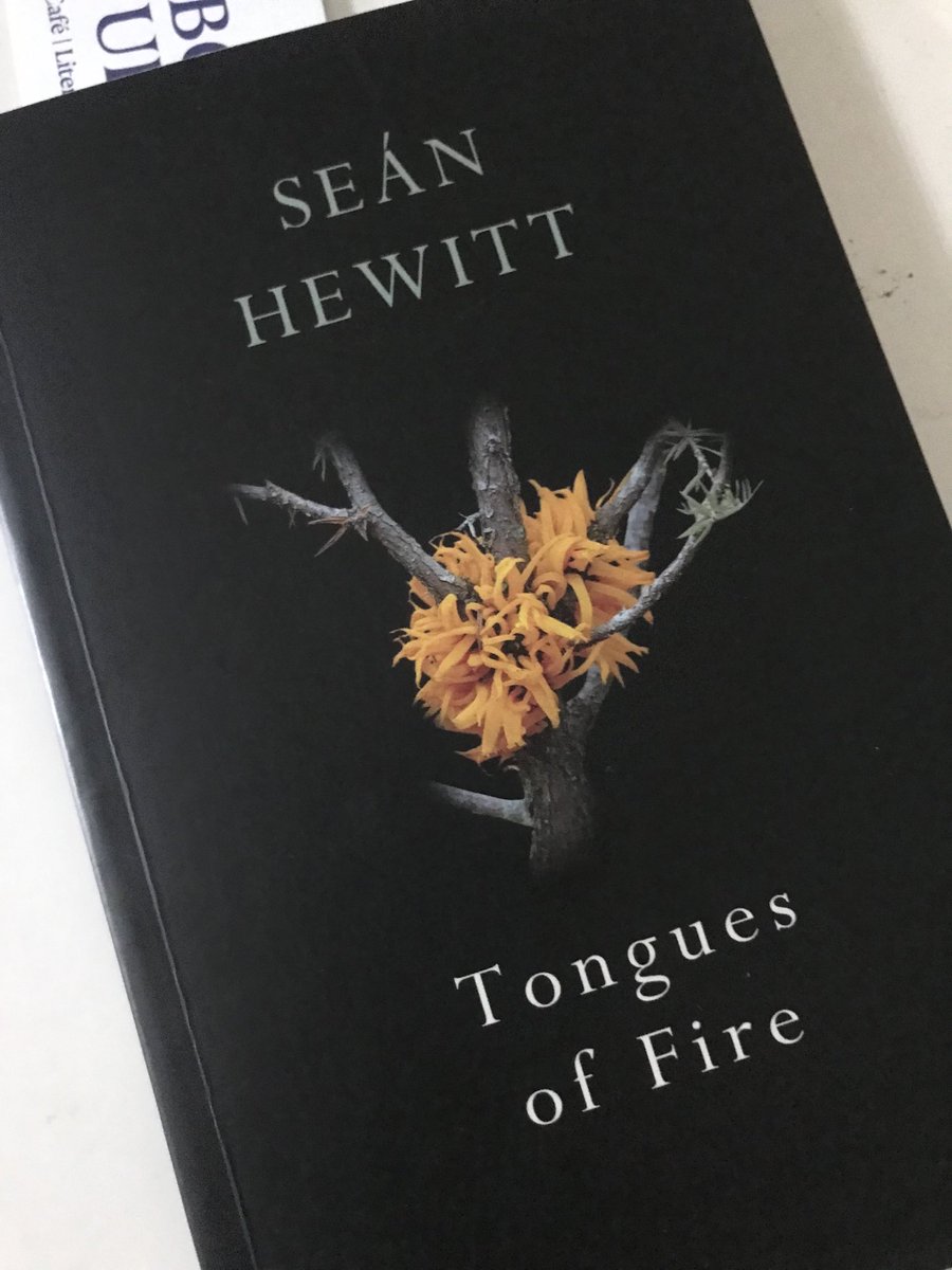 Sonya Gildea* tweet media