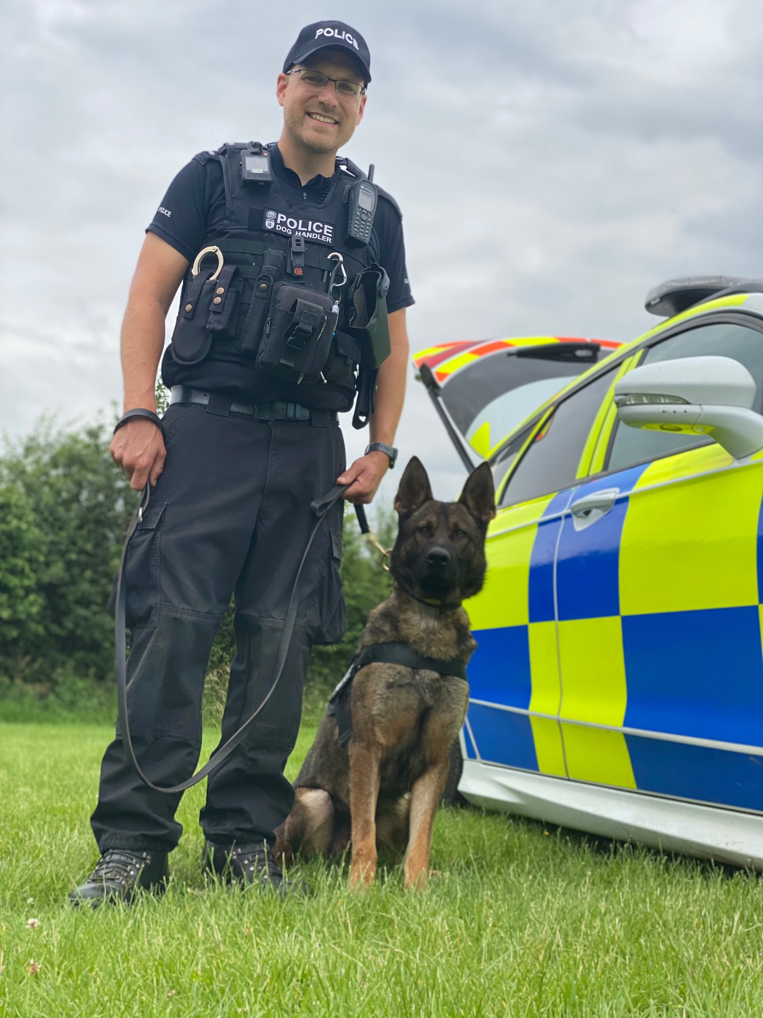 Dog Section Hantstvpoldogs Twitter