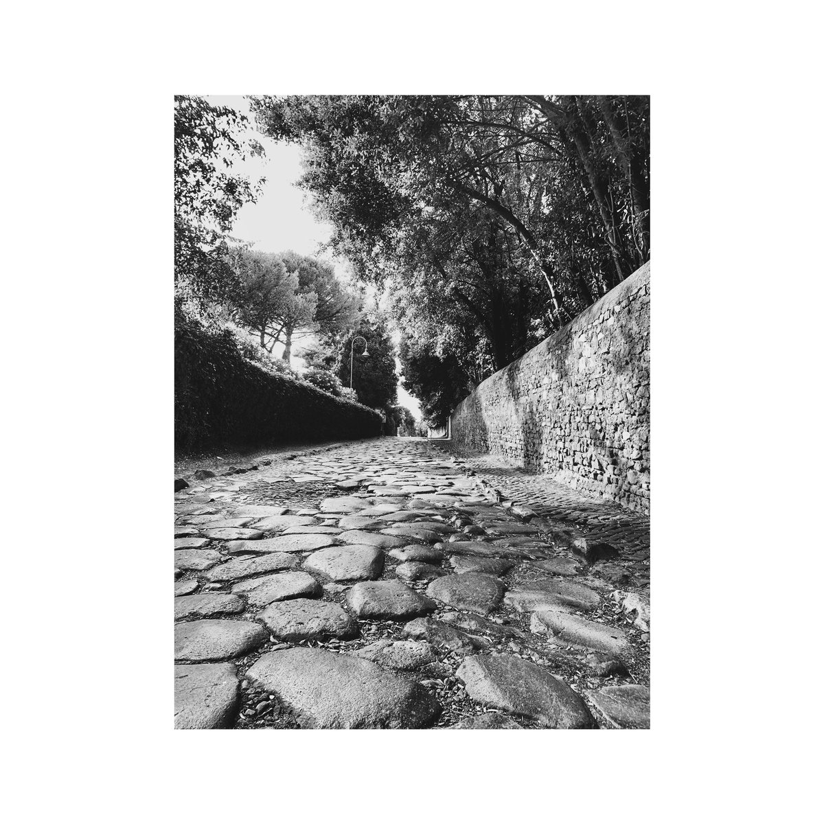 'The happiness of your life depends upon the quality of your thoughts.'
Marcus Aurelius

#marcusaurelius #motivationalquotes #lifequotes #reginaviarum #ancientappialandscapes #appiaantica #rome #romephotowalk #romephotography #blackandwhite 
#meditation