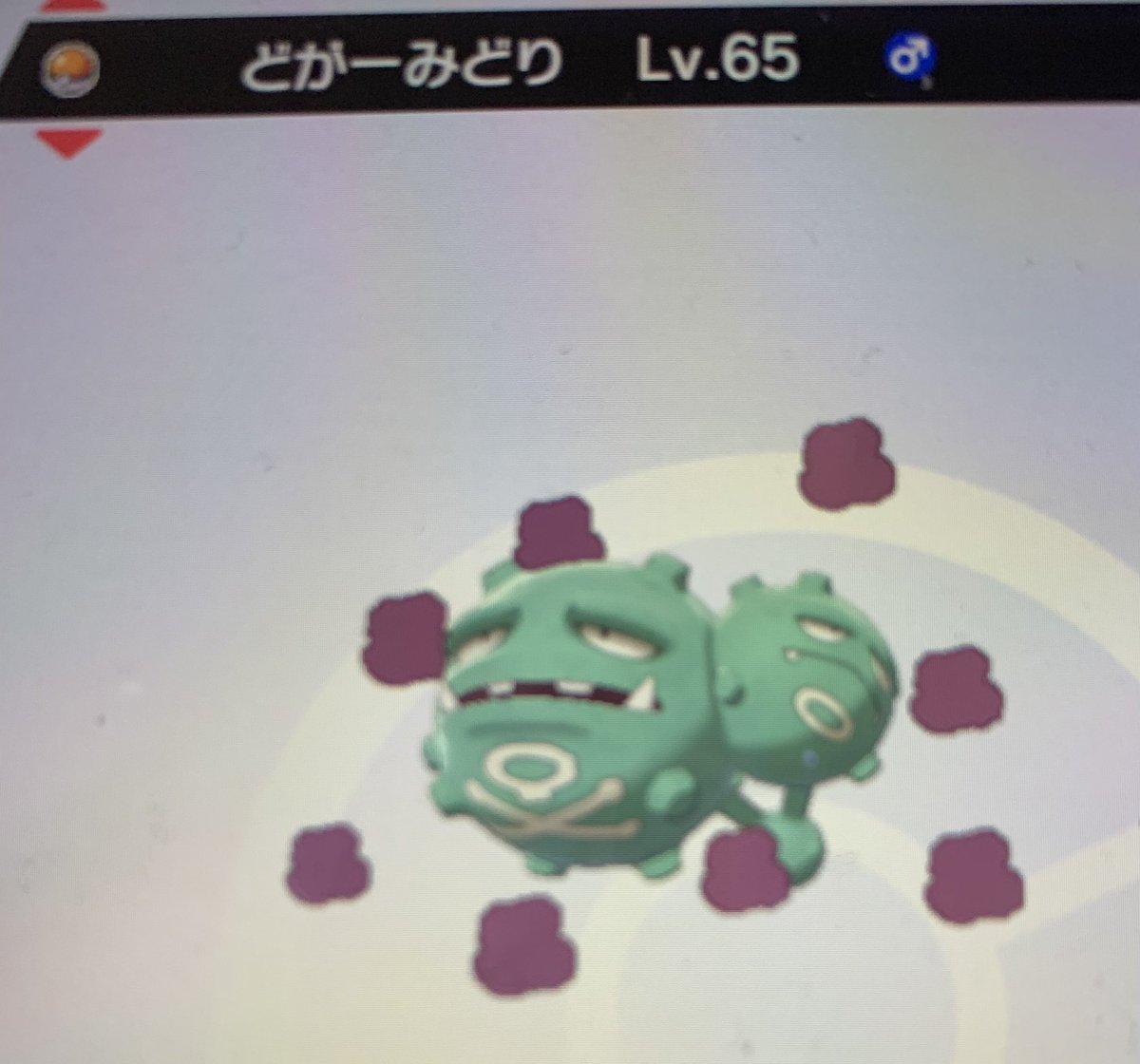 ポケモンgo マタドガスの色違い 入手方法と実装状況 攻略大百科 ポケモンgo マタドガスの色違い 入手方法と実装状況 攻略大百科