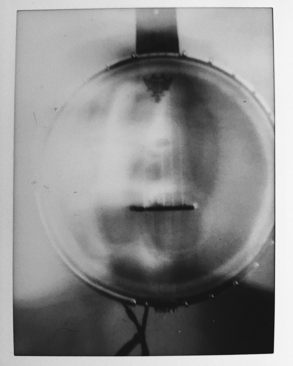 Young Forest (@youngforestband) on Twitter photo 