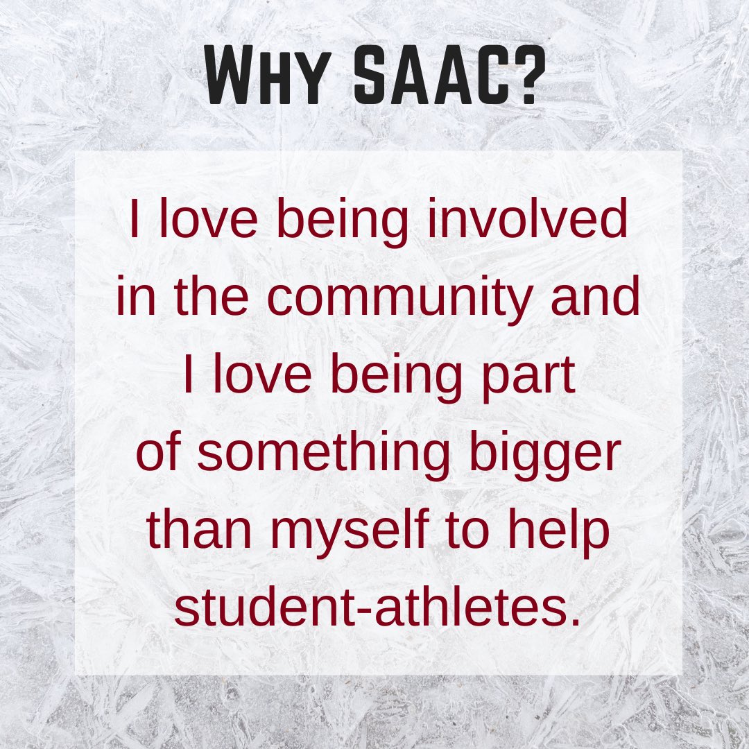 🚨Introducing our 2021-22 SAAC Exec Board!🚨 Coming all the way from Castel Gandolfo, Italy🇮🇹 @AlabamaWGolf’s Carolina Caminoli will cook up some tee-rific ideas as Campus Collaboration Chair! 🤝 #leadership