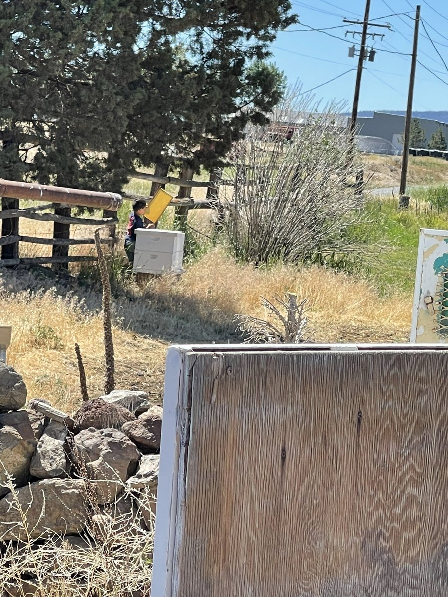 One of our farm hands kids loves the farm, found kid the other day inspecting the bees, dad showed him last year how to do. No suit nothing just confidence, respect nature and it will respect you!