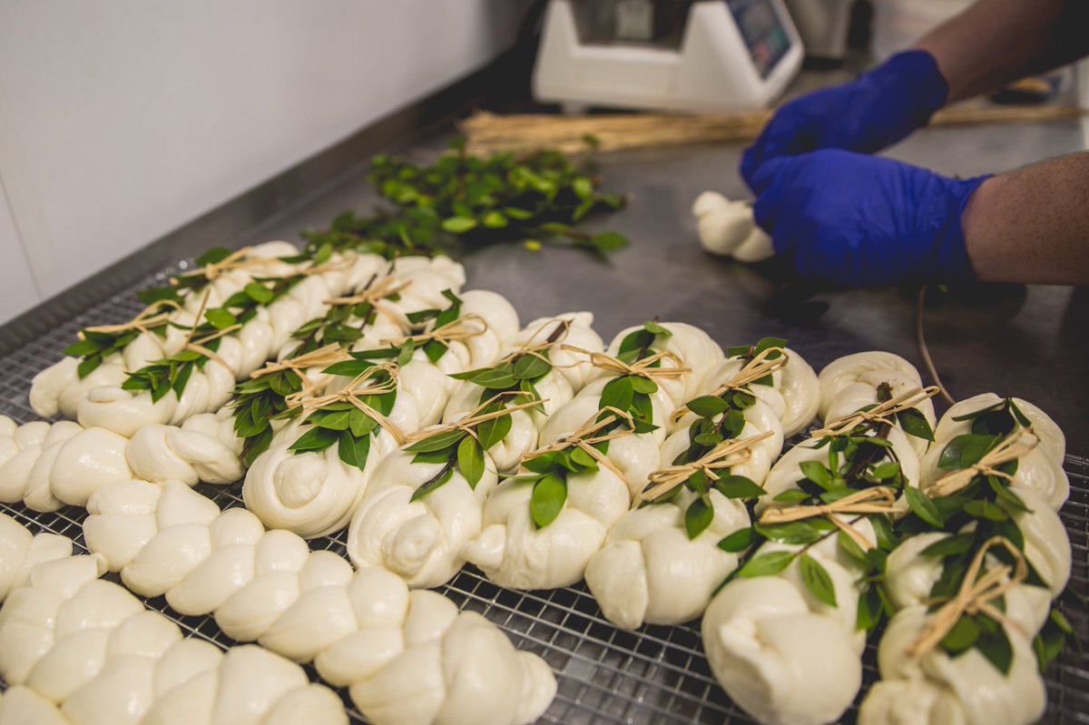 ZingCreamery's tweet photo. Hey cheese &amp; gelato lovers... we’re HIRING! Zingerman’s Creamery is looking for a full-time Assistant Cheese and Gelato Maker! 
We'd love for you (or someone you know) to be a part of our dynamic team! Apply online today here:  https://t.co/WbanfBKced https://t.co/NOSvfF31Jy