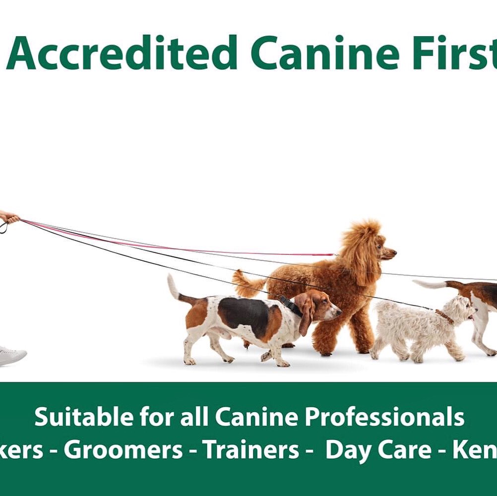 KELPIE Training tweet media