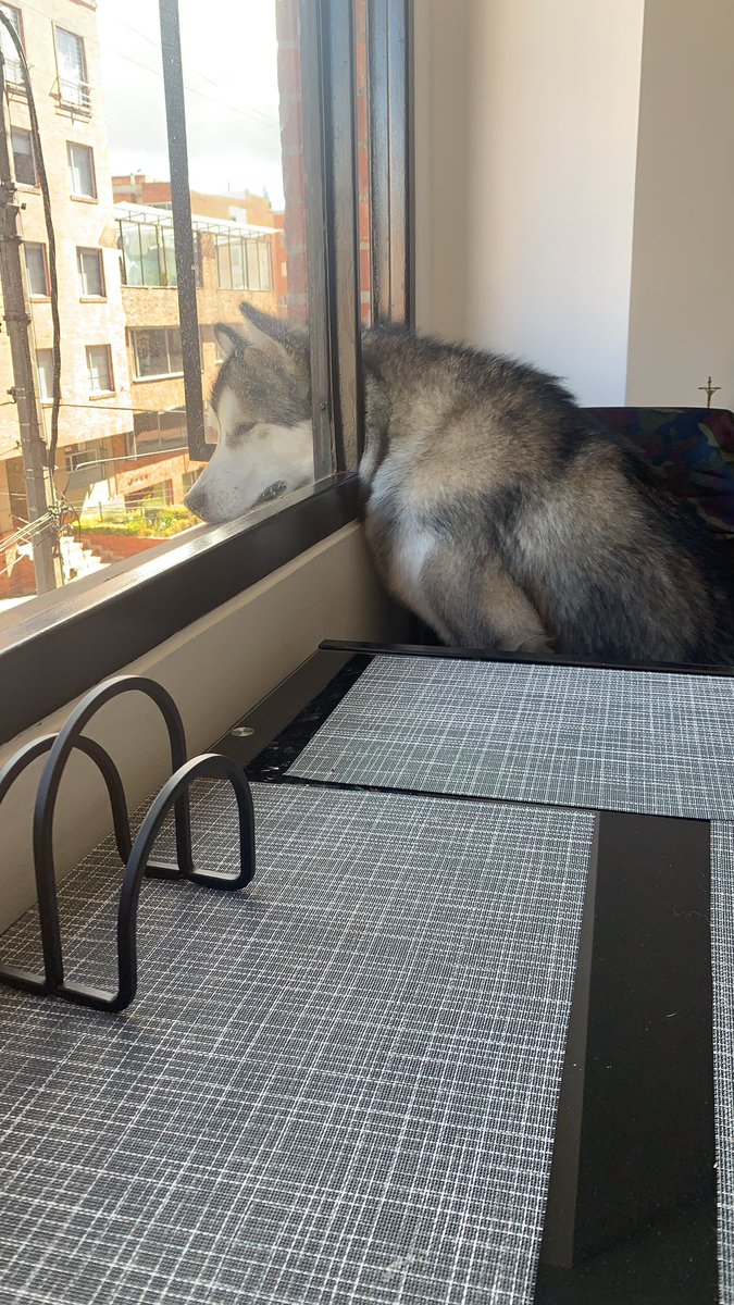 MariGPL's tweet photo. Same, baby boy, same🥲 https://t.co/S3oCADFXIh