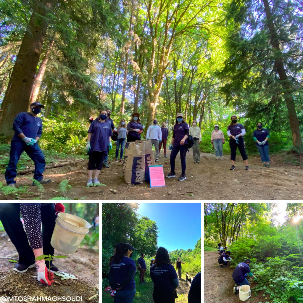 On June 22 #MTO Vancouver celebrated #WorldRainforestDay by organizing a #forest walk &amp; invasive plant removal with the Cariboo Heights Forest Preservation Society. Volunteers learned about the forest &amp; discussed their role in creating a #sustainable community.#MTOSustainability