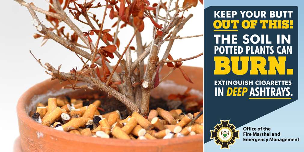 Potted plants get dry very quickly and are primarily full of peat moss that can burn at a rapid pace.  Don't be tempted to butt out smoking materials in these pots!