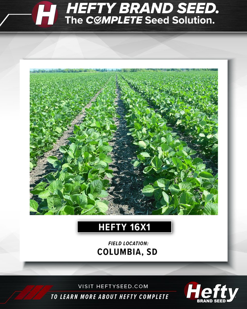 Check out the new Hefty 16X1 soybean and see how it’s thriving in fields near Columbia, SD so far this season!