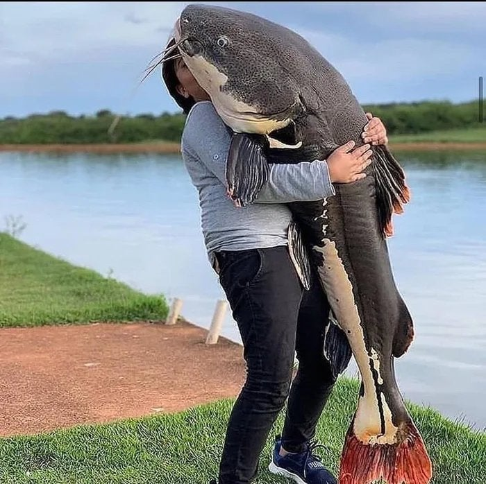 Tell me you love me catfishes without telling me you love catfishes. I'll go first.