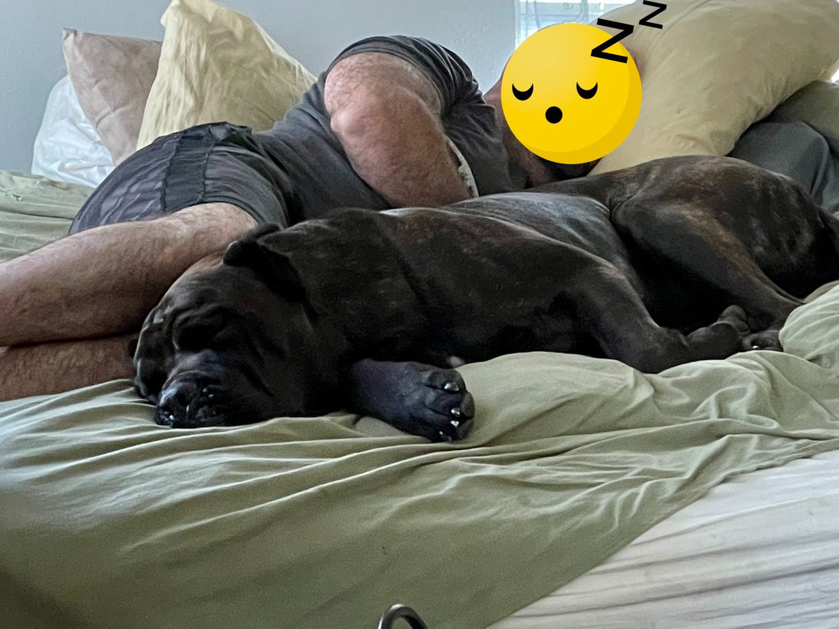 Dogs also make the best nap-buddies 😴 This is my Huckleberry and my husband snoozin’