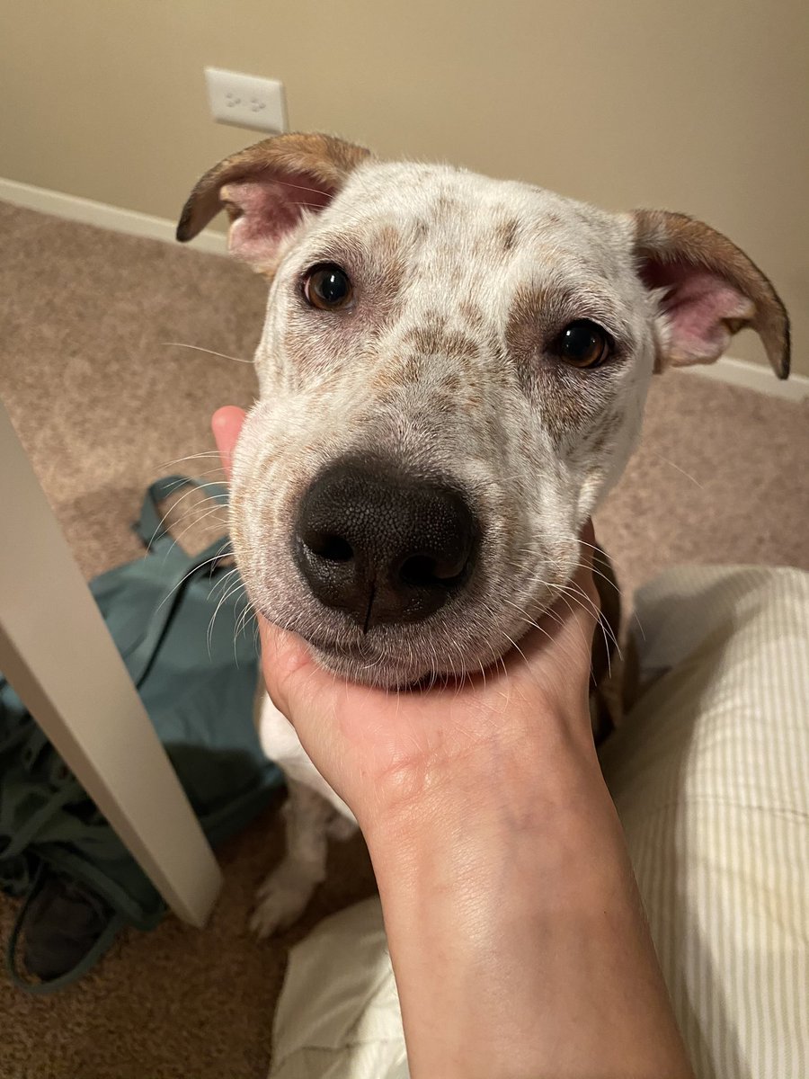 happy birthday pooh bear 💕 we’ve entered the terrible twos ❤️