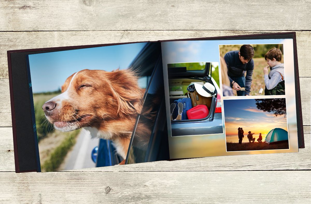 LD_Photolab tweet media