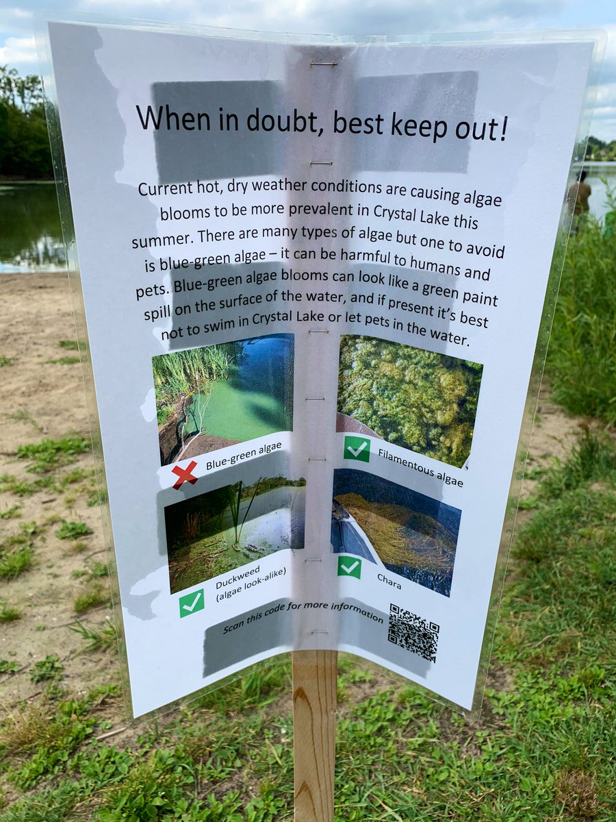 Warning signs are up at one metro lake after blue-green algae was detected. 

It’s a common problem in Minnesota, but the recent hot, dry weather is causing it to bloom earlier and more often. 

@FOX9 https://t.co/ggr8hV6IWh