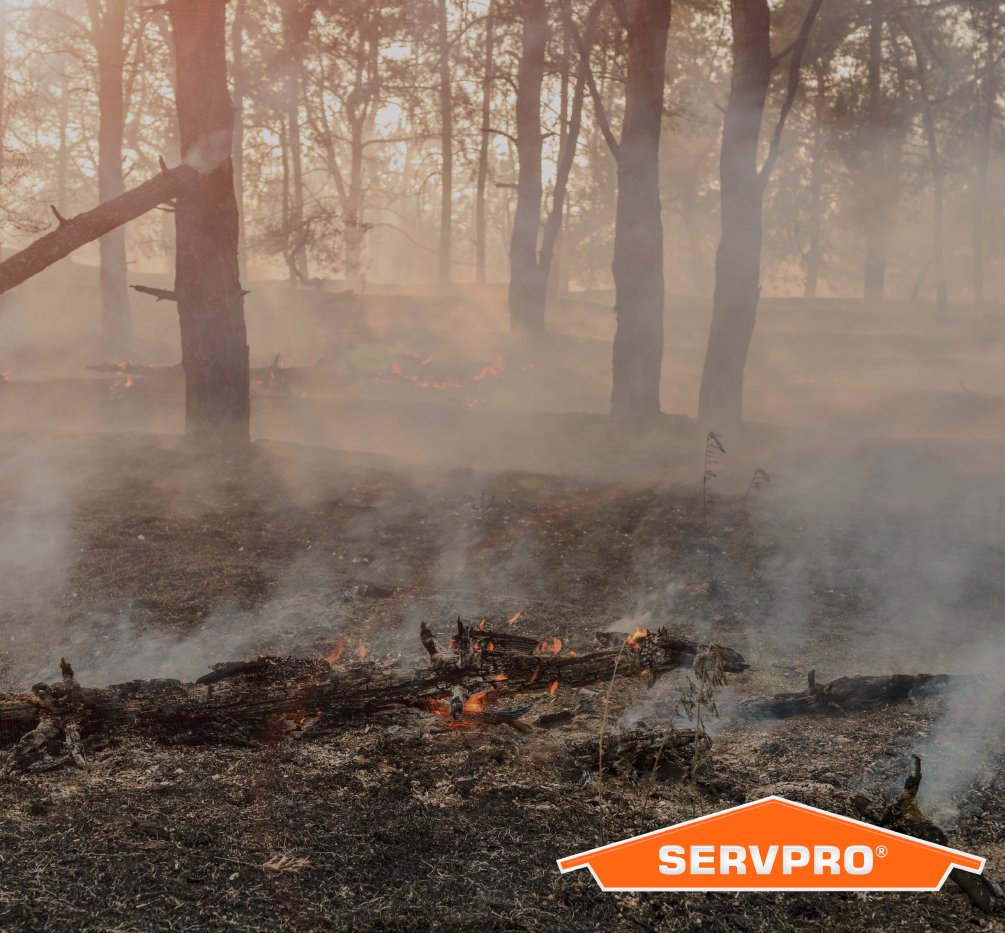 Large-scale wildfires dramatically alter the terrain and ground conditions. Normally, vegetation absorbs rainfall, reducing runoff. However, wildfires leave the ground charred, barren, and unable to absorb water, creating conditions ripe for flash flooding and mudflow.
