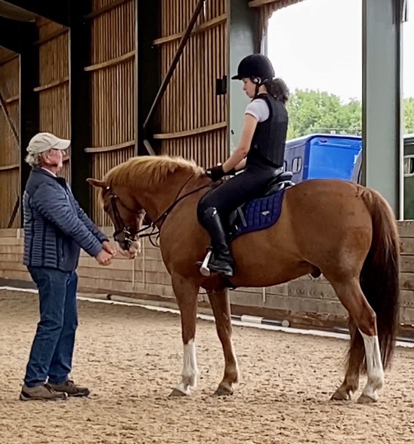 BCS_Senior's tweet photo. Talented #Year10 pupil Ruby had a great opportunity to train with Captain Mark Phillips over a #ShowJump course riding Tynycwm Shandy! 🏇 This weekend Ruby will compete in the Regional/Area Show Jump Pony Club Qualifier at @mendipplainsec, good luck!🍀👏 #achievetheextraordinary https://t.co/sqyyEZoiGJ