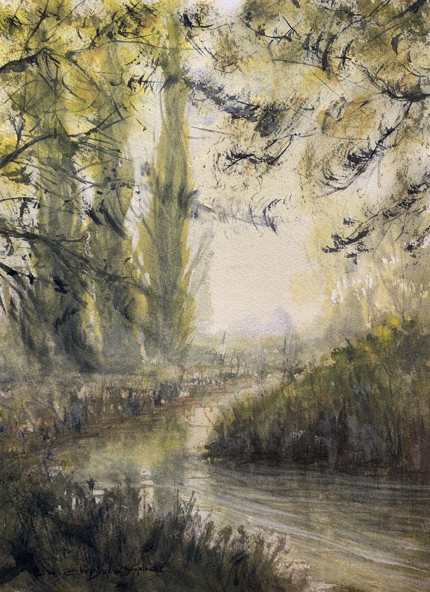 Poplars by the River Beane, Hertford. #watercolour #art #stcmill #impressionism