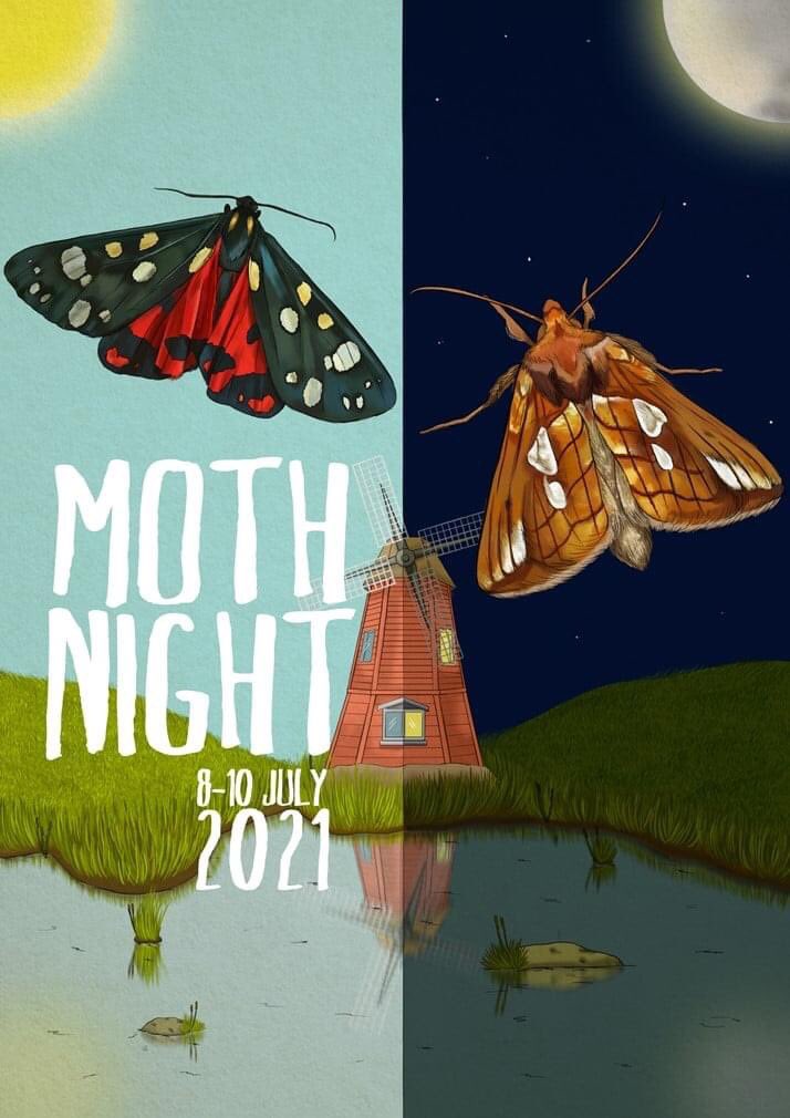 🚨Moth Night 2021 is underway in the UK🚨This year’s theme is reedbeds & wetlands but you can take part anywhere, day or night. Please submit records for this #CitizenScience event at mothnight.info and share your finds #MothNight Happy mothing!