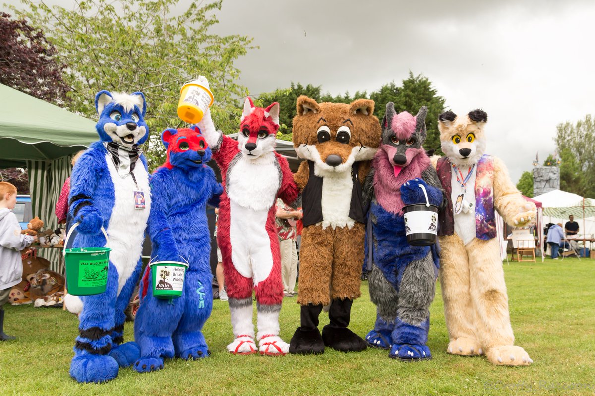 Draegarth's tweet photo. It's 2 years since we were last there, 16 months since the last pre-covid UK fursuiting events, and it rained *a lot*, but we did it! We returned to @wildliferescuer's Open Day to help raise money for the animals. Thank you so much to all who came along! 💙 #FursuitFriday https://t.co/WvsupyajsI