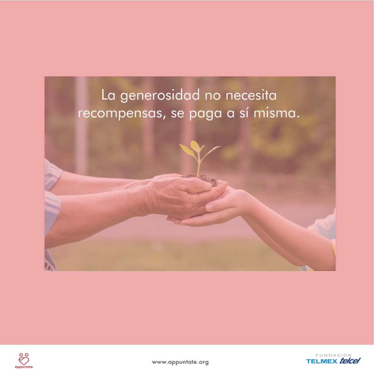 Es una labor no remunerada, pero te llena el corazón 🧡