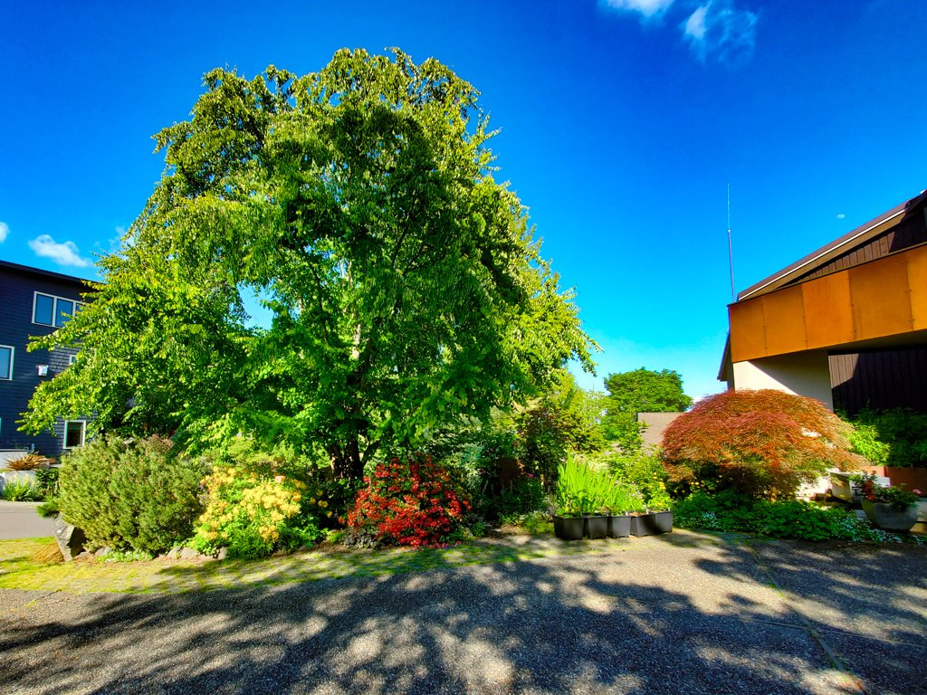 The Peoples Gardening Collective tweet media