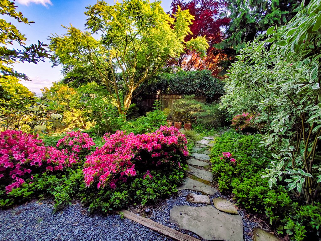 The Peoples Gardening Collective tweet media