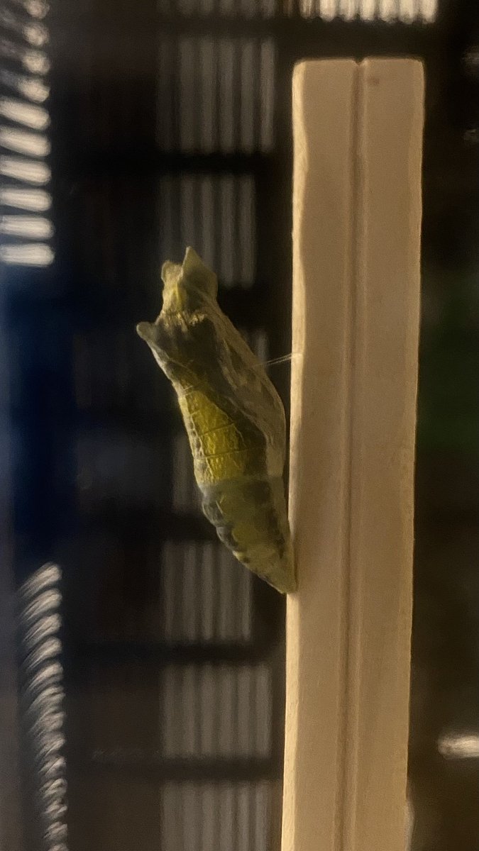 Edit And Browse Instagram Stories Profiles Followers Posts And s Online Insta Tweet Com