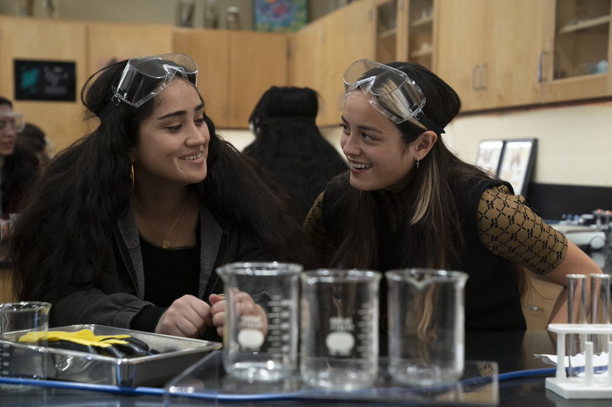 genera+ion 💖 tweet media