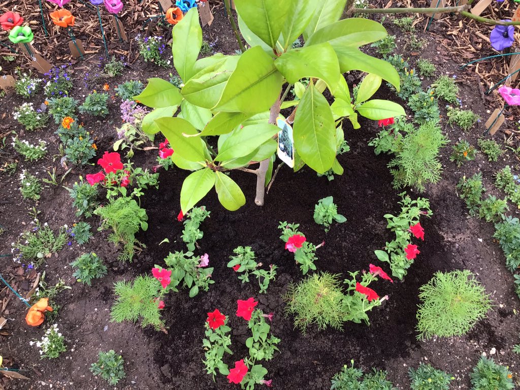 St Martins School tweet media