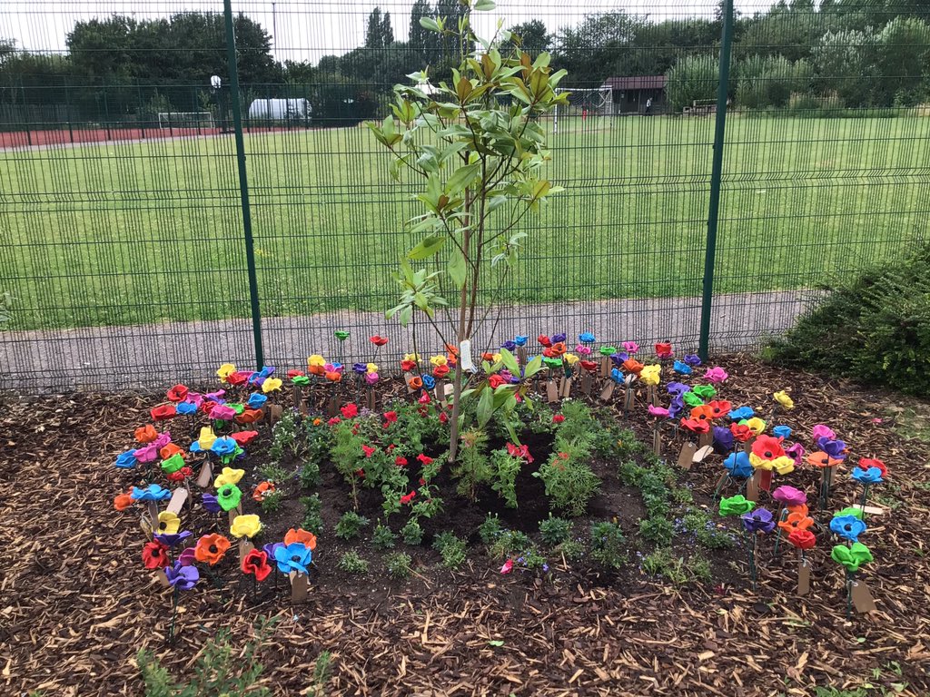 St Martins School tweet media