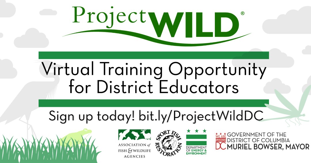 DOEE_DC's tweet photo. DOEE is excited is to offer a unique (and free!) wildlife-focused curriculum development training opportunity! Sign up today to learn more about Project WILD!

Sign up today: https://t.co/KRsGrm9SI5 https://t.co/LUmiNTaD2N