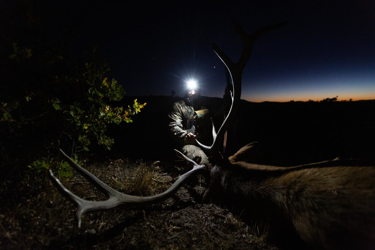LeupoldOptics's tweet image. With submissions rolling in and time running out, have you submitted your #ProjectHunt application? Apply now to have your hunt filmed this Fall at leupold.com/projecthunt 

Retween and tag someone who should apply!
#leupoldoptics #hunting #elkhunting #deerhunting