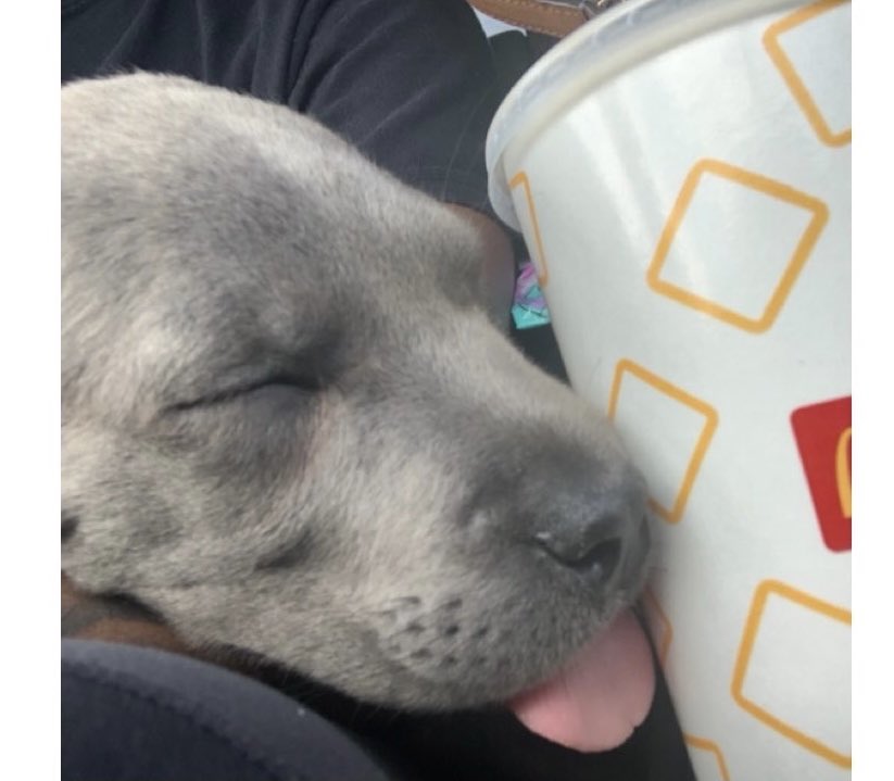 Dominican Princess 🇩🇲🇱🇨✨ tweet media