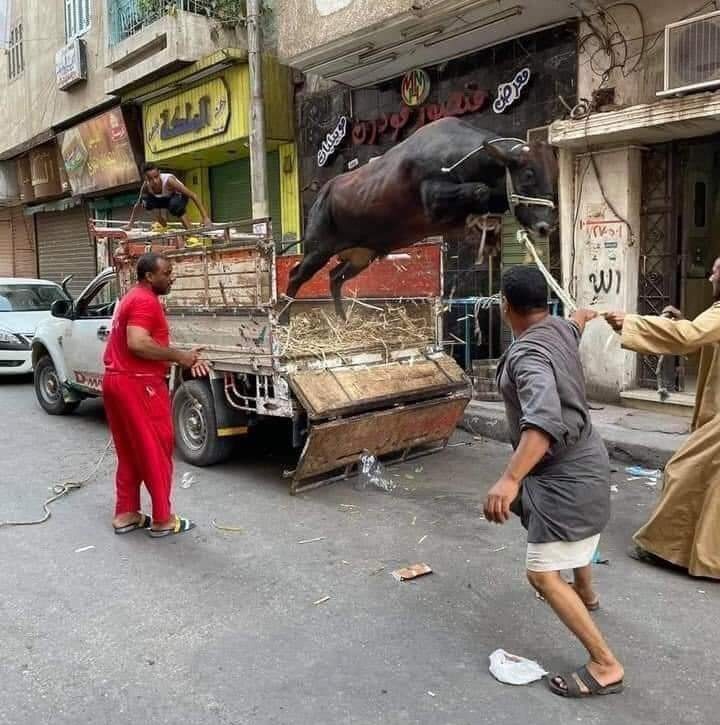 ofcourse7777's tweet photo. - هو ده القرار الغلط ؟ 
= اها.. https://t.co/DKjTVEhsTj