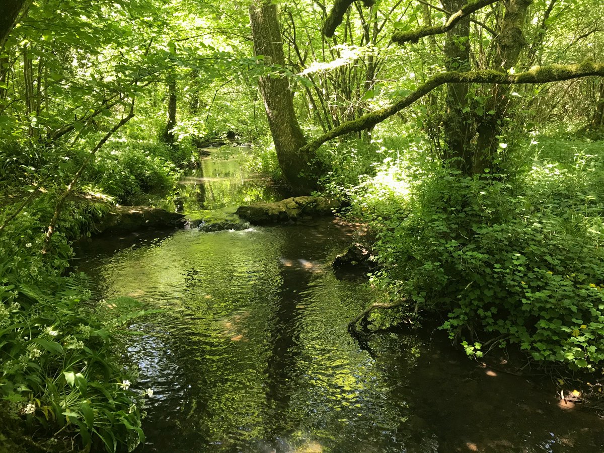 We hope everyone has a lovely summer break and has some much-deserved rest and relaxation